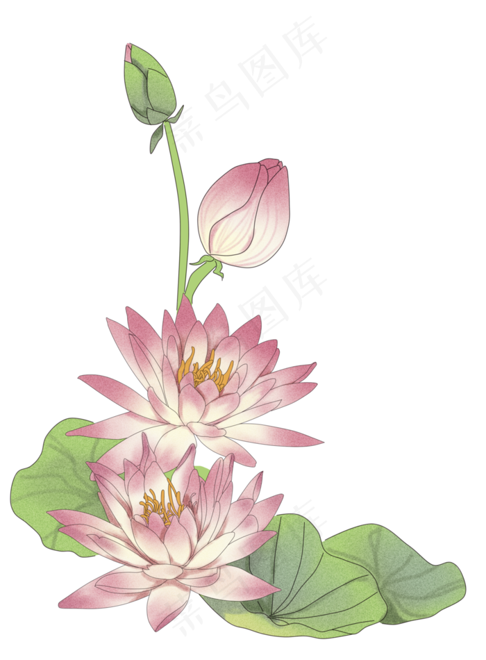 莲花边框手绘贴图(2800X3800(DPI:300))psd模版下载