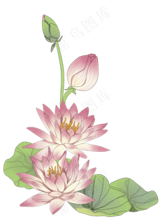 莲花边框手绘贴图