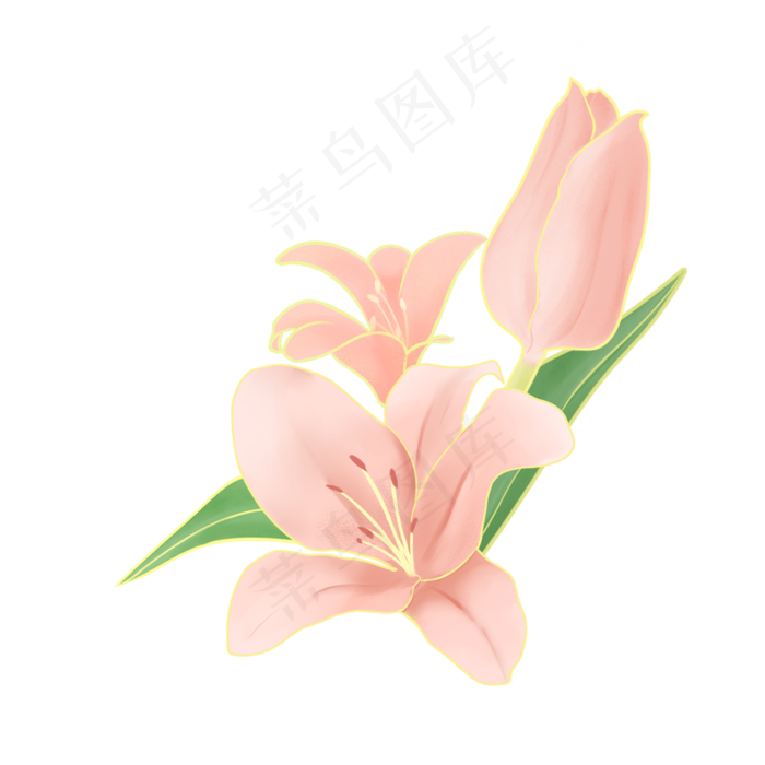 节日金边粉色手绘花叶装饰,免抠元素