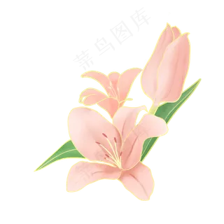 节日金边粉色手绘花叶装饰,免抠元素