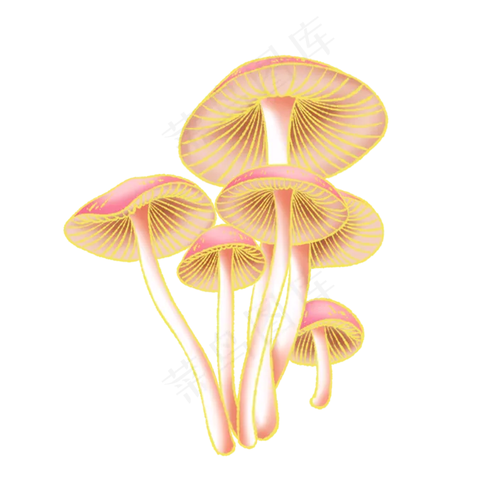 新中式国潮风蘑菇(2000X2000(DPI:300))psd模版下载