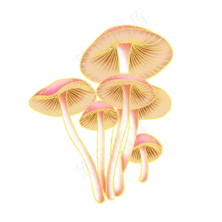 新中式国潮风蘑菇