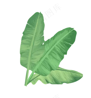 热带雨林植物叶子,免抠元素
