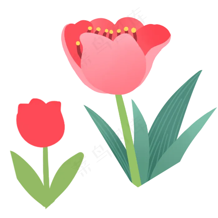 红花春季自然植物(2000X2000(DPI:300))psd模版下载