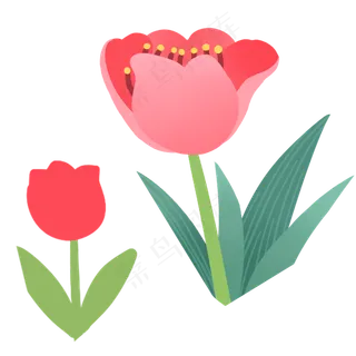 红花春季自然植物