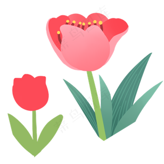 红花春季自然植物