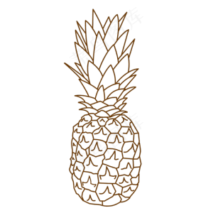 线描菠萝水果