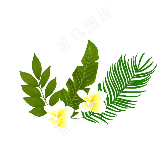 热带植物花卉PNG,免抠元素(2000X2000(DPI:150))psd模版下载