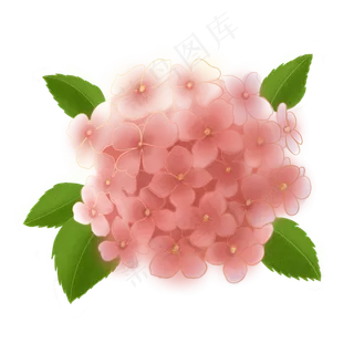 手绘花绣球花球温馨浪漫清新粉色