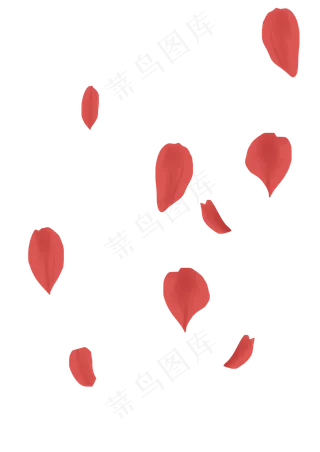 七夕节红色玫瑰花瓣