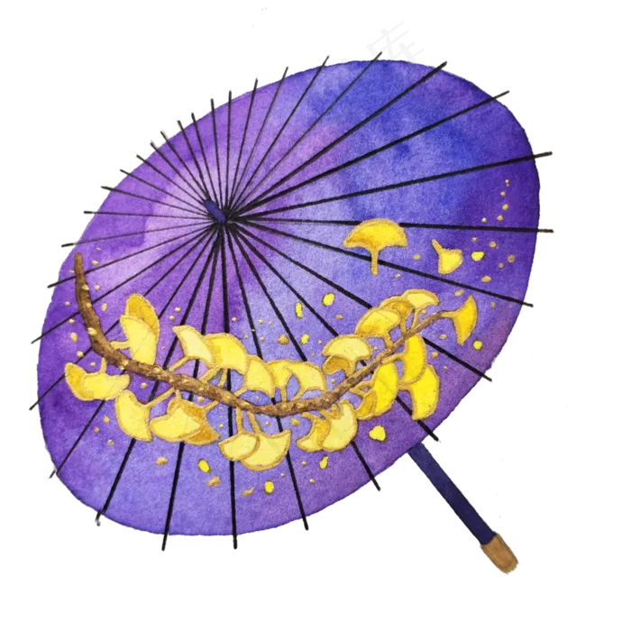 油纸伞紫色金黄银杏叶中国古典PNG,免抠元素(3024X3024(DPI:72))psd模版下载