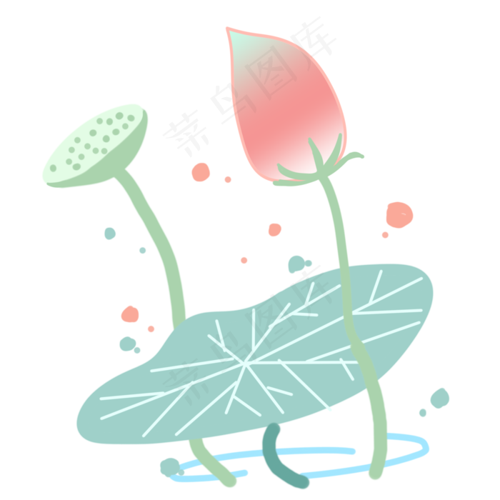 漂亮的荷花和莲蓬(2000X2000(DPI:300))psd模版下载