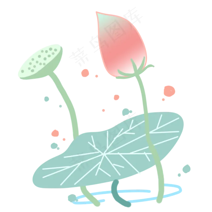 漂亮的荷花和莲蓬(2000X2000(DPI:300))psd模版下载