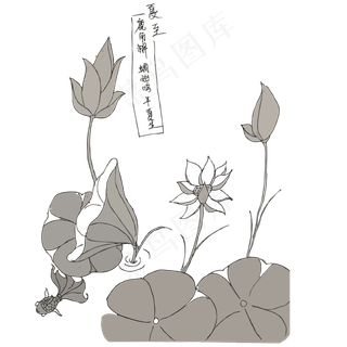 手绘矢量夏至节气荷塘荷叶荷花漫