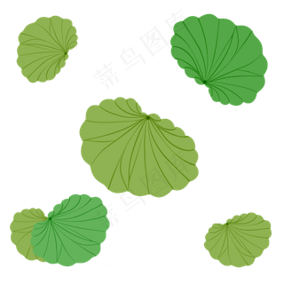 圆形绿色植物叶子