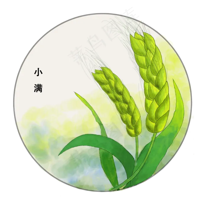 小满节气图标下载(2835X2835(DPI:300))psd模版下载