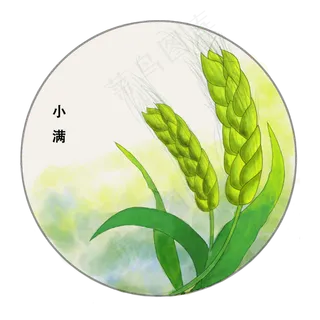 小满节气图标下载