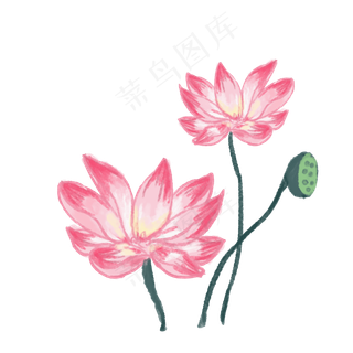 水墨荷花夏日水彩