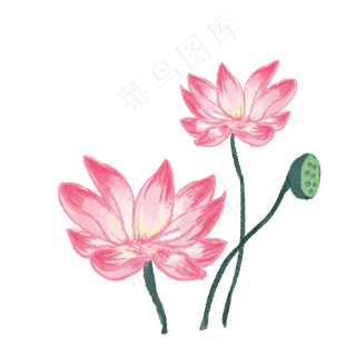 水墨荷花夏日水彩