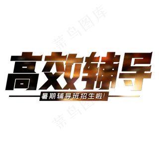 高效辅导暑期辅导班