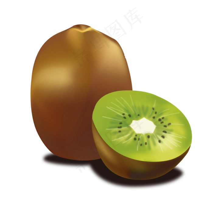 矢量手绘逼真写实猕猴桃可商用元