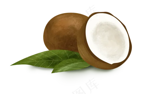 夏日夏季水果椰子