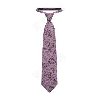 男士用品紫色花纹领带