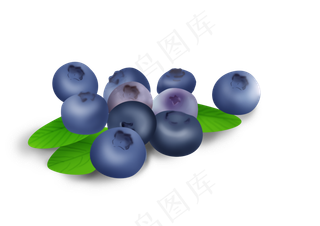 夏季水果蓝莓