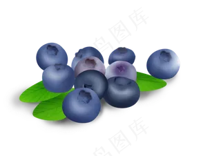 夏季水果蓝莓