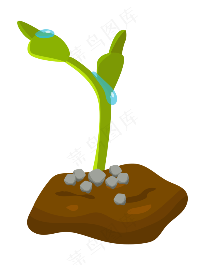 手绘植物发芽插画