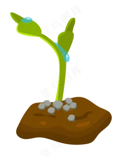 手绘植物发芽插画