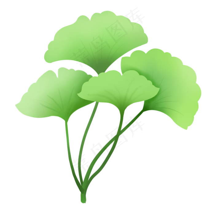 春天小清新植物扇形嫩绿叶子,免抠元素