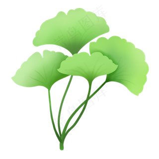 春天小清新植物扇形嫩绿叶子,免抠元素