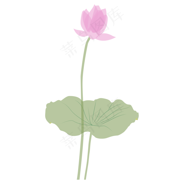 伴着荷叶而长的似开未开的荷花(2000X2000(DPI:300))psd模版下载