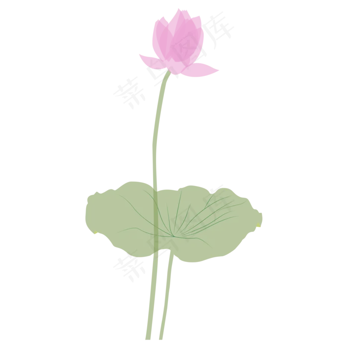 伴着荷叶而长的似开未开的荷花(2000X2000(DPI:300))psd模版下载