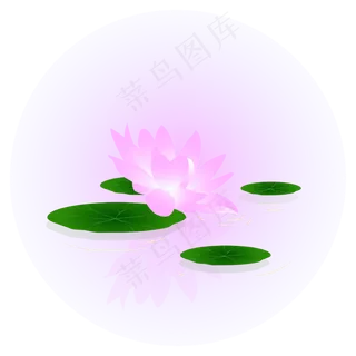 夏日荷花清新精美 夏日荷花清新精美