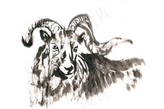 卧着的山羊水墨画PNG免抠素材