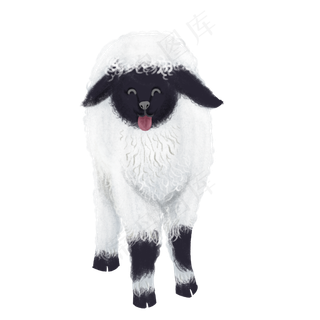 可爱动物绵羊黑脸,免抠元素