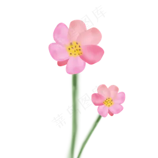 手绘粉色花卉春天水彩