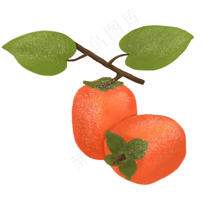 半写实风水果之柿子(2000X2000(DPI:300))psd模版下载