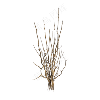 仿真干花装饰png图