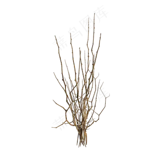 仿真干花装饰png图