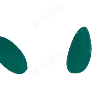 两片卡通的绿叶叶子