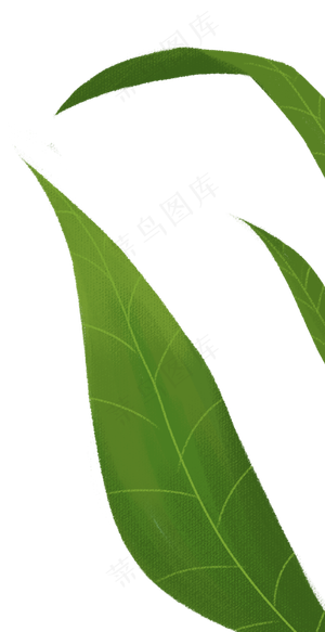 手绘卡通大绿叶子元素