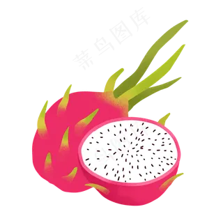 矢量热带水果火龙果PNG免抠素材