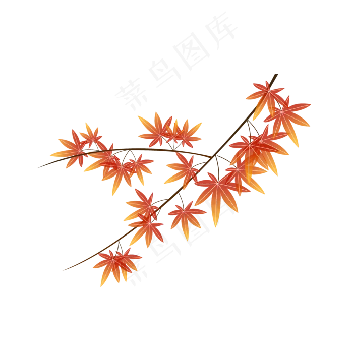 枫叶植物绿叶可商用元素立秋节气,免抠元素(1024*1369px 72 dpi )ai矢量模版下载