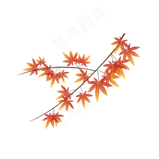 枫叶植物绿叶可商用元素立秋节气,免抠元素