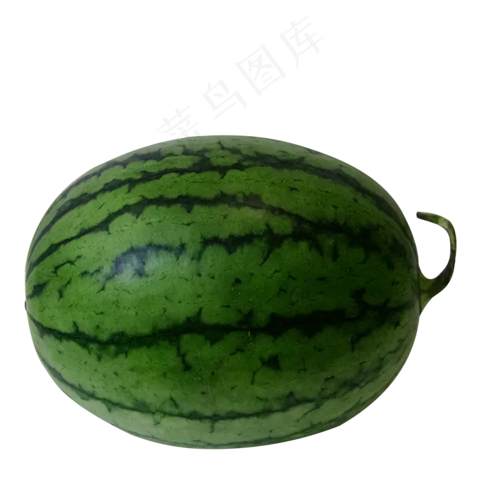 夏天大西瓜(2000X2000(DPI:300))