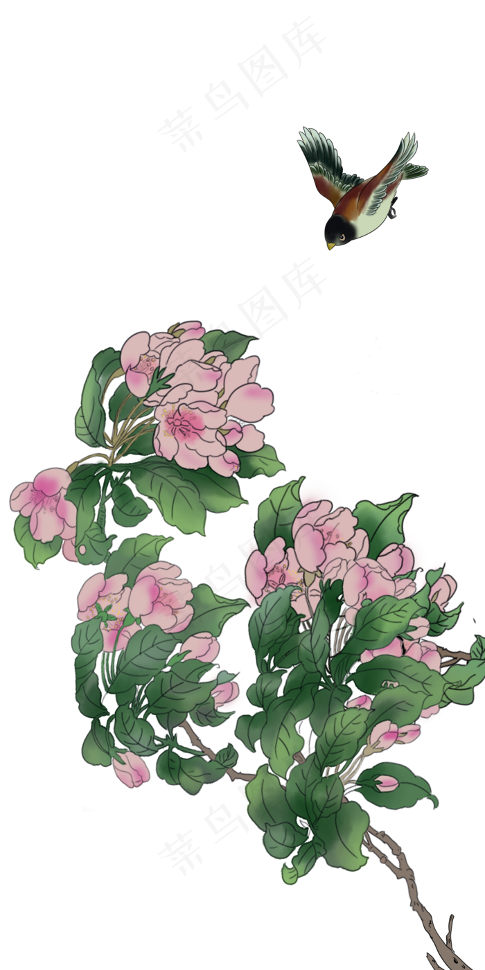 漂亮的工笔画手绘插画