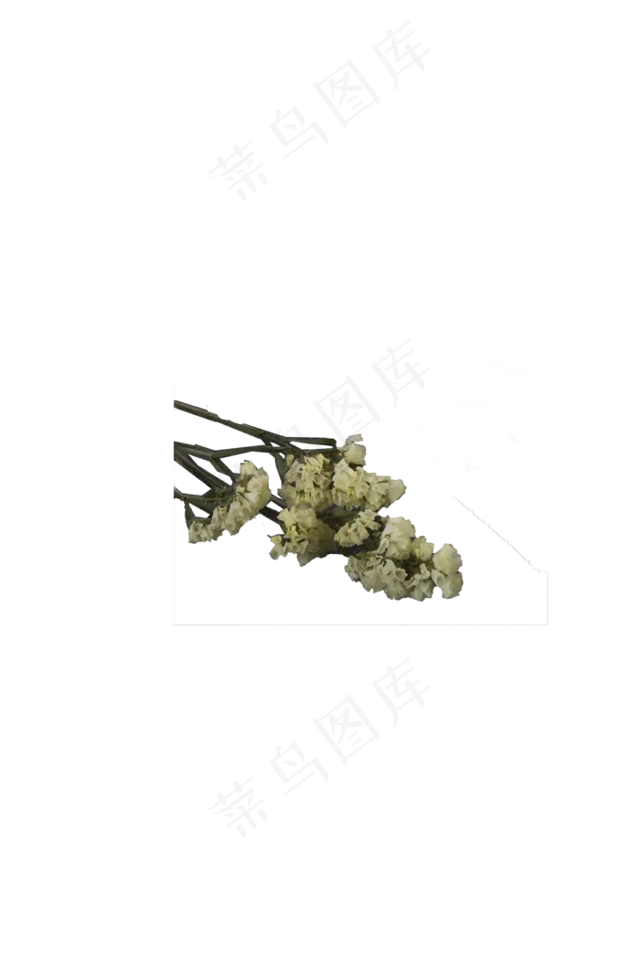 精美包装节日花束(3545X5315(DPI:299))psd模版下载